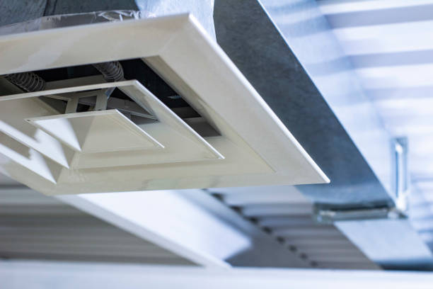 Air Duct Mold Removal in SC