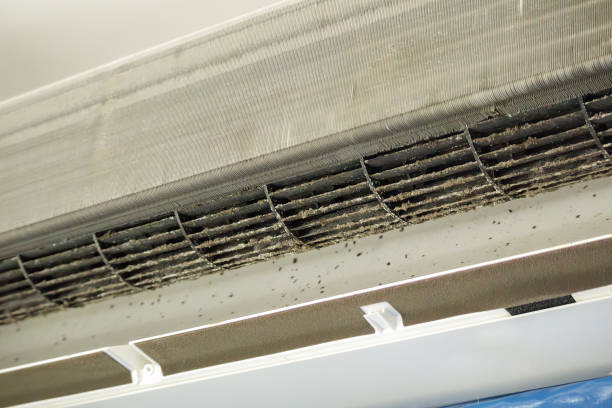 Best Emergency Air Duct Cleaning  in Litchfield Beach, SC